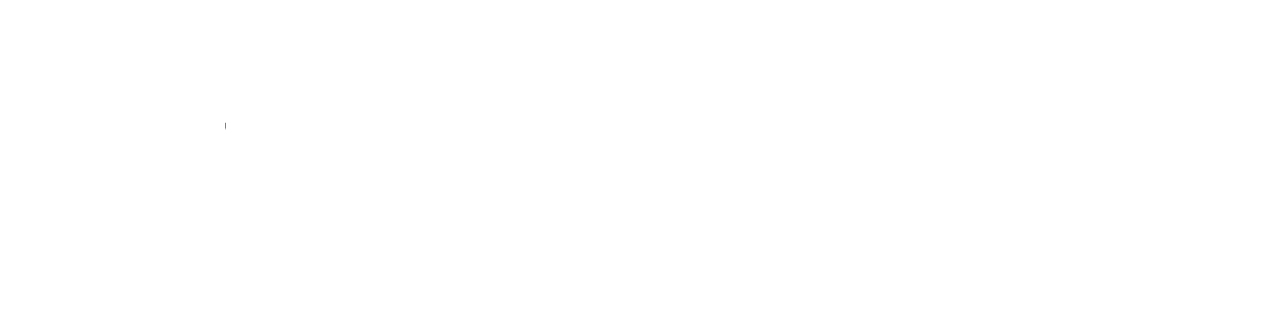footer_logo